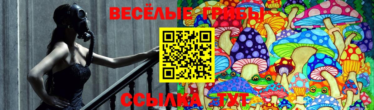 Псилоцибиновые грибы GOLDEN TEACHER Донецк