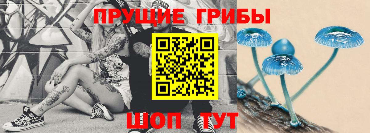 Донецк  Галлюциногенные грибы Cubensis  купить   Вход с VPN 